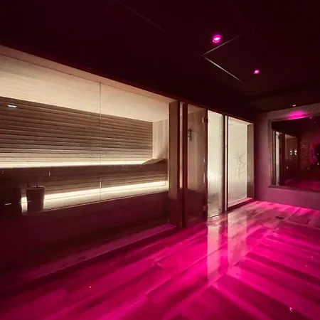 Apartment La Plagne-les Coches Vue Mont Blanc 6 Pers Piscine Sauna *